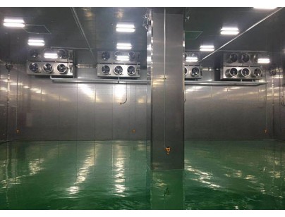 南京LG新能源汽車3000立方米鋰電池防爆冷庫(kù)工程建造方案