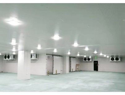 廣東完美400㎡日用品恒溫庫、冷藏庫（防爆冷庫）工程建造方案