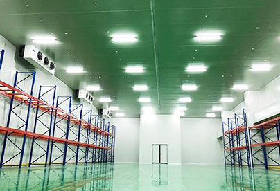 陰涼冷庫(kù)建造