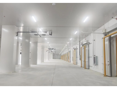 武漢長發(fā)永來冷鏈物流現(xiàn)代化高標(biāo)變溫冷庫規(guī)劃設(shè)計(jì)建造項(xiàng)目