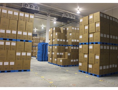 蘇州點(diǎn)通24000m3物流陰涼庫建造工程設(shè)計(jì)方案