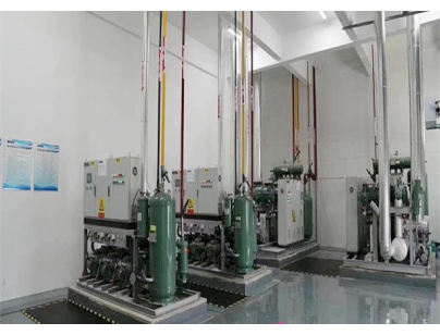 湖北周黑鴨80000m3生產(chǎn)加工型成品低溫食品冷庫(kù)工程建造方案