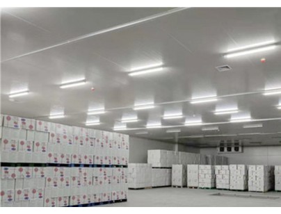 河北尚品（澳門）15000m3倉(cāng)儲(chǔ)物流低溫冷藏冷凍庫(kù)建造方案