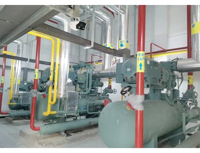 河北尚品（澳門）15000m3倉(cāng)儲(chǔ)物流低溫冷藏冷凍庫(kù)建造方案