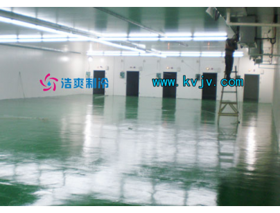 雅瑪多1600m3大型物流冷凍庫(kù)（低溫冷藏庫(kù)）工程建造方案