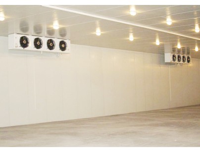 湖北天峽鱘業(yè)300㎡-20℃（水產(chǎn)速凍庫(kù)）低溫冷庫(kù)工程建造案例