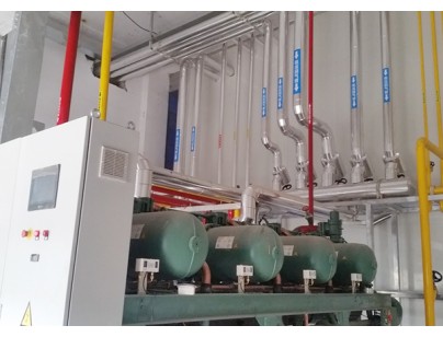 杭州7100平方米百草味冷鏈物流園規(guī)劃設(shè)計(jì)建造項(xiàng)目