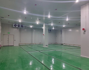 做防爆冷庫低溫危險品倉庫的建造標準是什么？