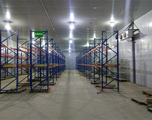 后補式血站醫(yī)療冷藏庫建造標準及其特點