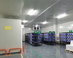 gsp體外診斷試劑批發(fā)企業(yè)設置的冷庫容積不少于多少立方米？