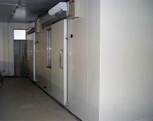 建造8500立方米2~7℃氣調(diào)保鮮冷庫(kù)安裝造價(jià)多少錢(qián)?