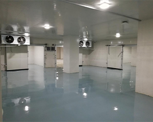 藥企公司建造一個5000平多溫醫(yī)藥冷庫預(yù)算大概多少？