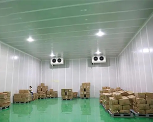 4500㎡藥品冷鏈物流冷庫設(shè)計(jì)方案，冷庫預(yù)算多少錢