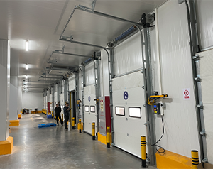 100噸保鮮冷庫造價多少