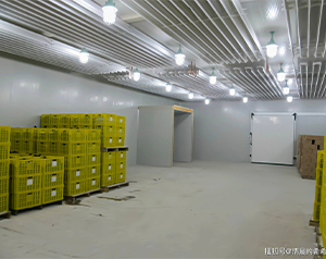 建設一個150平米氣調庫，大概需要多少資金