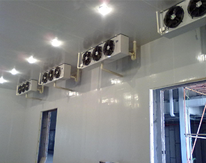 建設(shè)2500平米冷庫(kù)需要多少錢(qián)