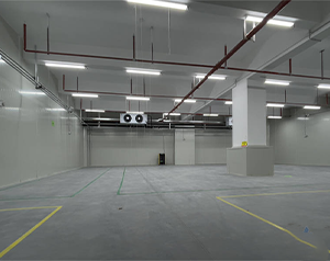 建200噸氣調(diào)庫多少錢？存放葡萄、獼猴桃