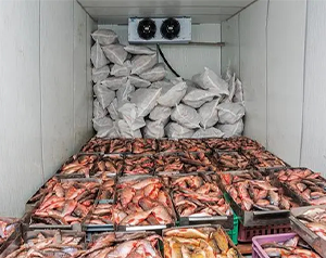 舌尖上的漁業(yè)制冷-海鮮、魚類冷庫