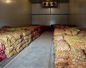 山藥恒溫冷庫(kù)解決山藥冷藏保存問題