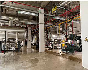 自動化冷庫國內外現(xiàn)狀分析