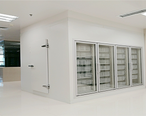 醫(yī)藥冷庫設(shè)計(jì)規(guī)范方案