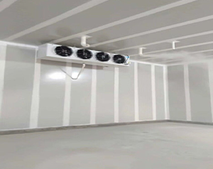 重慶1000平速凍冷庫(kù)安裝多少錢？