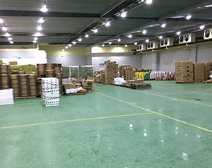 冷庫和廠房可以合建嗎？