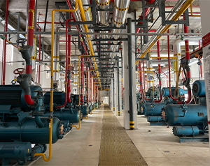 自動(dòng)化冷庫(kù)安裝每平方多少錢(qián)？