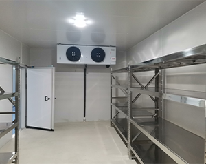 海南酒店廚房雙溫冷庫設(shè)計怎么做?