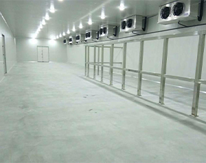 500噸豬肉品冷庫建造多少錢？