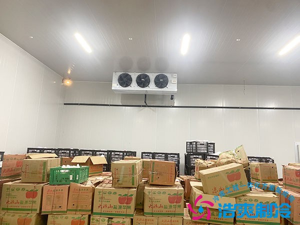 保鮮冷庫造價(jià)