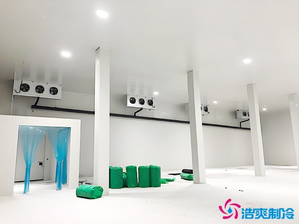 建造萬(wàn)噸級(jí)大型冷庫(kù)造價(jià)大概多少錢？萬(wàn)噸冷庫(kù)造價(jià)影響因素