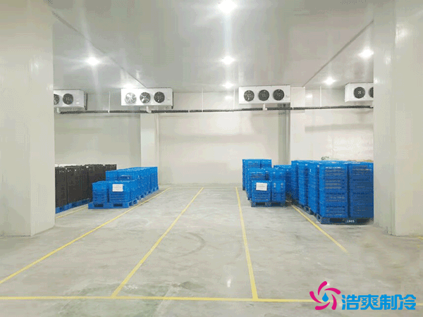 建造萬(wàn)噸級(jí)大型冷庫(kù)造價(jià)大概多少錢？萬(wàn)噸冷庫(kù)造價(jià)影響因素