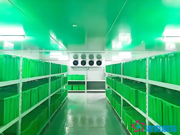 藥品批發(fā)企業(yè)冷藏庫平方面積要求多少？1000平藥企冷庫造價(jià)