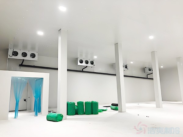 建一個(gè)能儲(chǔ)存20萬斤的100噸冷庫需要多少錢