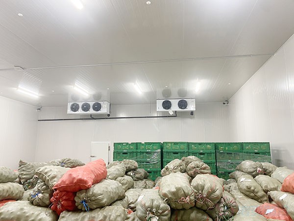 建一個十萬斤（50噸）的冷庫造價大概需要多少錢？