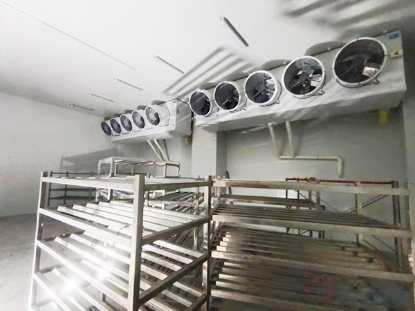 建造1000立方冷凍庫配多大壓縮機？造價預(yù)算多少錢？