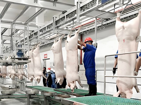 屠宰場冷庫一般都在車間內(nèi)嗎？速凍間是冷庫嗎？