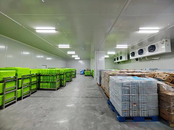 大型工業(yè)藥品冷庫建設(shè)安裝價格大概多少錢？