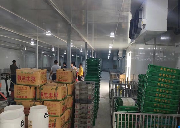 2000平米土豆冷庫竟要200多萬？揭秘氣調(diào)保鮮庫天價背后！
