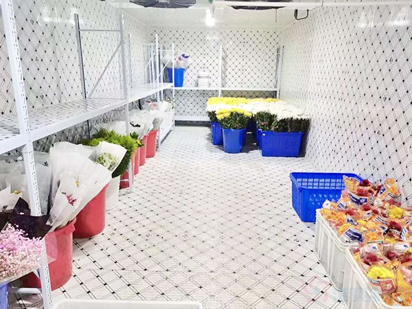 安裝200平米的保鮮庫造價