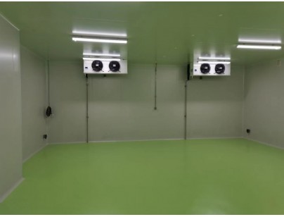 成都康諾亞一橋生物科技公司創(chuàng)新醫(yī)藥冷庫建設(shè)工程案例