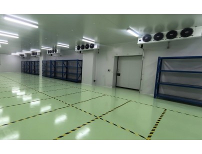 成都康諾亞一橋生物科技公司創(chuàng)新醫(yī)藥冷庫建設(shè)工程案例