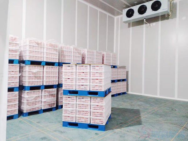 湖南果蔬氣調(diào)保鮮冷庫(kù)設(shè)計(jì)