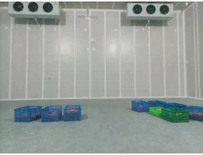湖州練美農(nóng)業(yè)果蔬產(chǎn)地型氣調(diào)冷庫建造工程案例