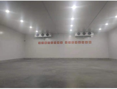 新疆伊寧78525m3保稅區(qū)冷鏈物流園大型冷庫建造工程