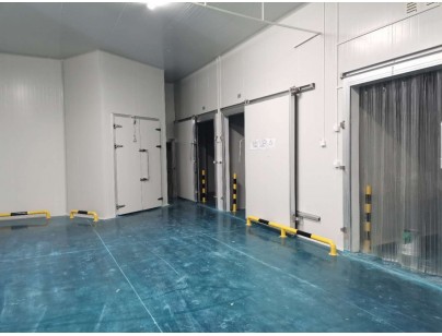 伊利乳業(yè)高標(biāo)準(zhǔn)乳制品加工冷鏈倉(cāng)儲(chǔ)冷庫(kù)建造工程案例