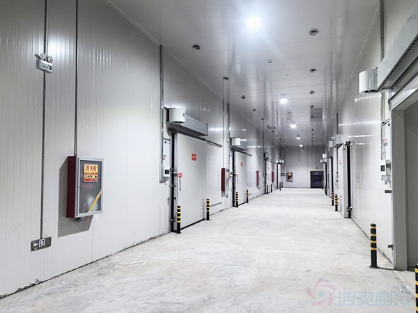 20000平冷庫(kù)建設(shè)