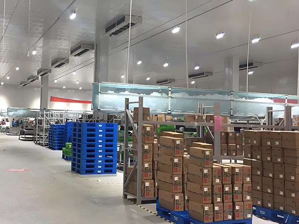 果蔬冷鏈倉儲(chǔ)冷庫建造