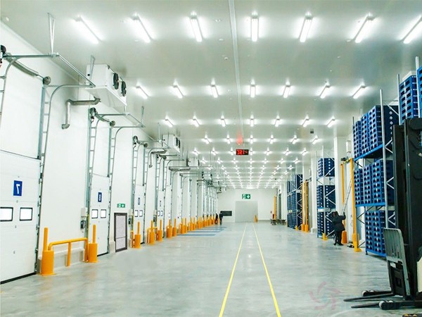 5000噸冷庫造價(jià)